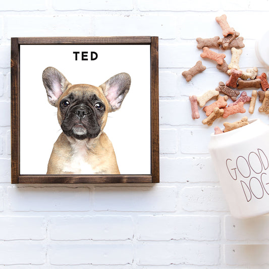 Custom Pet Photo Print Canvas — Oil Effect on Canvas